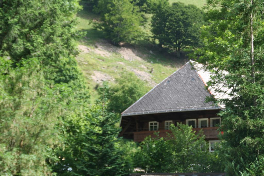 Hotel Gasthaus Hirschen Im Hochschwarzwald Todtnau Nahe Feldberg Exteriör bild