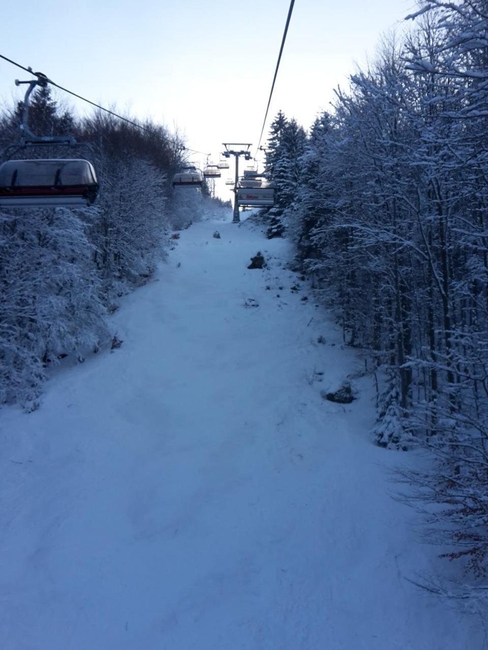 Hotel Gasthaus Hirschen Im Hochschwarzwald Todtnau Nahe Feldberg Exteriör bild